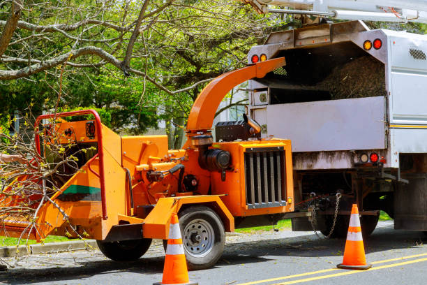 Lawn Drainage Solutions in Ashland City, TN